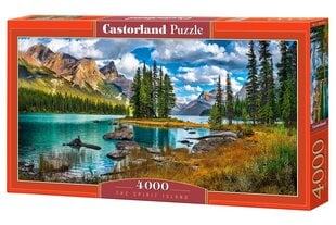 Пазл Castorland The Spirit Island, 4000 шт. цена и информация | Castorland Товары для детей и младенцев | pigu.lt