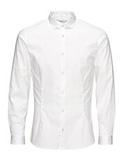 Мужская рубашка Jack&Jones Jjprparma Shirt L/S 12097662 цена и информация | Мужские рубашки | pigu.lt