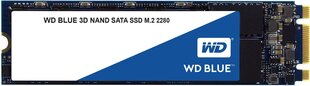 Western Digital Blue 250GB SATA3 (WDS250G2B0B) kaina ir informacija | Vidiniai kietieji diskai (HDD, SSD, Hybrid) | pigu.lt
