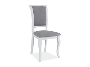 Комплект из 2 стульев MNSC, цвет: белый/серый цена и информация | Стулья для кухни и столовой | pigu.lt