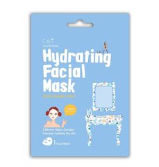 Интенсивно увлажняющая маска для лица Cettua Hydrating Mask, 1 шт. цена и информация | Маски для лица, патчи для глаз | pigu.lt