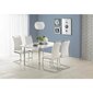 4-ių kėdžių komplektas Halmar K 250, balta kaina ir informacija | Virtuvės ir valgomojo kėdės | pigu.lt