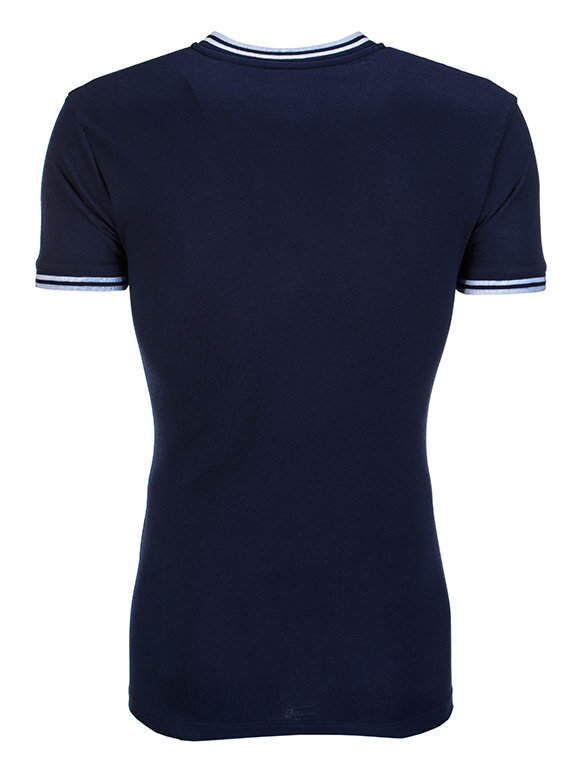 Vyriški marškinėliai Ombre S843 kaina ir informacija | Vyriški marškinėliai | pigu.lt