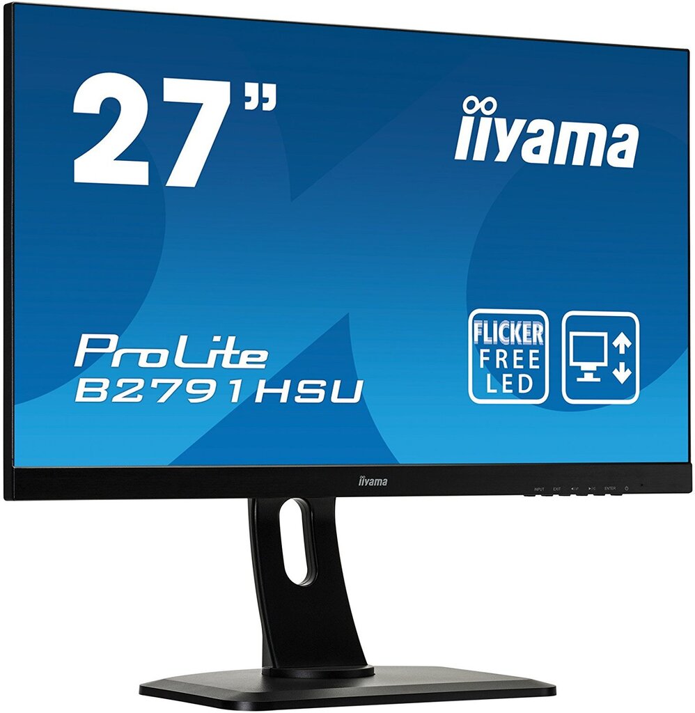 Iiyama ProLite B2791HSU-B1 цена и информация | Monitoriai | pigu.lt