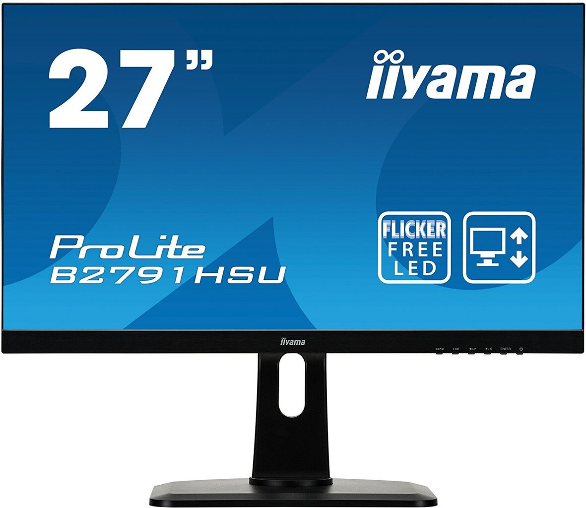 Iiyama ProLite B2791HSU-B1 kaina ir informacija | Monitoriai | pigu.lt