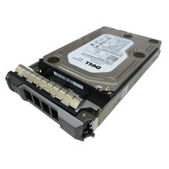 Dell Vidiniai kietieji diskai (HDD, SSD, Hybrid)