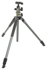 Vanguard ALTA PRO 2+ 263AB 100, 173 cm, kaina ir informacija | Fotoaparato stovai | pigu.lt