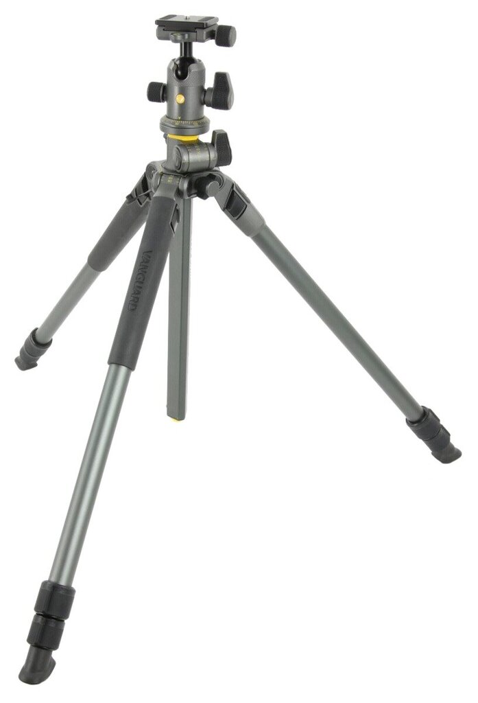 Vanguard ALTA PRO 2+ 263AB 100, 173 cm, цена и информация | Fotoaparato stovai | pigu.lt