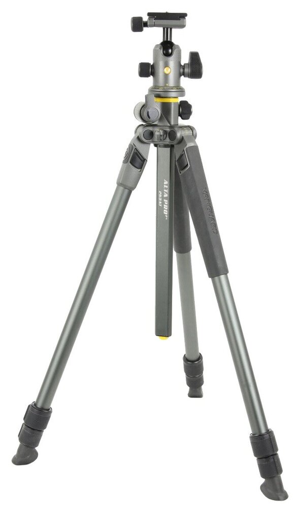 Vanguard ALTA PRO 2+ 263AB 100, 173 cm, цена и информация | Fotoaparato stovai | pigu.lt