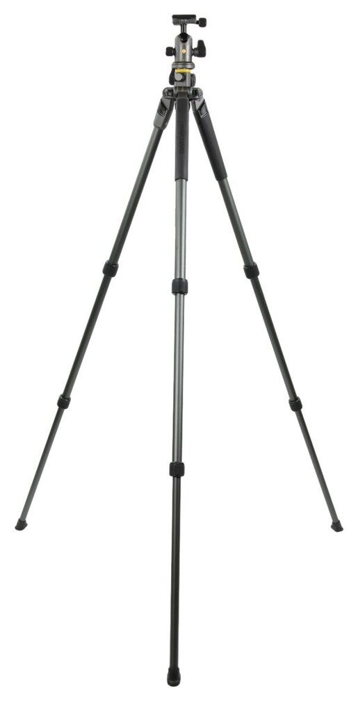 Vanguard ALTA PRO 2+ 263AB 100, 173 cm, цена и информация | Fotoaparato stovai | pigu.lt