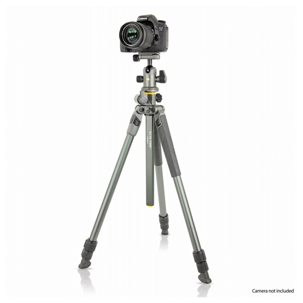 Vanguard ALTA PRO 2+ 263AB 100, 173 cm, kaina ir informacija | Fotoaparato stovai | pigu.lt