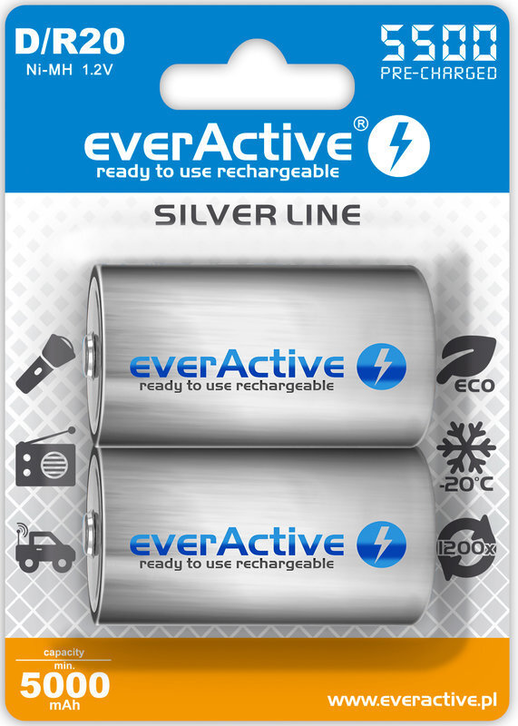 EverActive AAEVHRL20-5500B2 цена и информация | Elementai | pigu.lt