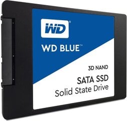 Western Digital Blue 1TB SATA3 (WDS100T2B0A) kaina ir informacija | Vidiniai kietieji diskai (HDD, SSD, Hybrid) | pigu.lt