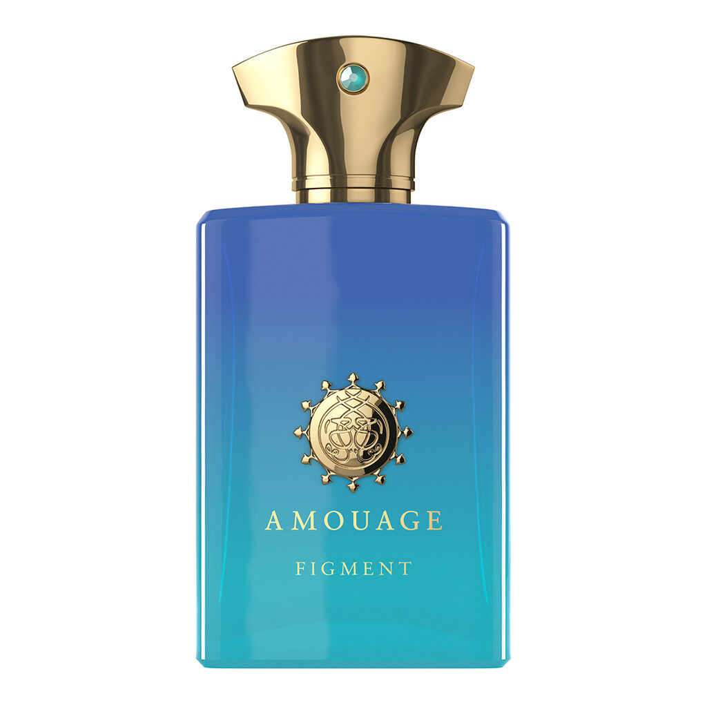 Kvapusis vanduo Amouage Figment EDP vyrams 100 ml kaina ir informacija | Kvepalai vyrams | pigu.lt