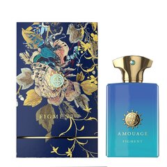 Kvapusis vanduo Amouage Figment EDP vyrams 100 ml kaina ir informacija | Kvepalai vyrams | pigu.lt