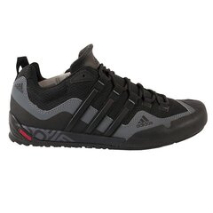 Спортивная обувь мужская Adidas TERREX SWIFT SOLO D67031 цена и информация | Кроссовки для мужчин | pigu.lt