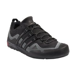 Спортивная обувь мужская Adidas TERREX SWIFT SOLO D67031 цена и информация | Кроссовки для мужчин | pigu.lt