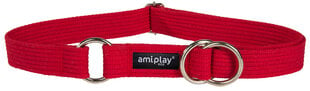 Ошейник Amiplay, XL, красный цена и информация | Ошейники, подтяжки для собак | pigu.lt