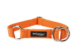 Ошейник Amiplay, XXL, оранжевый цена и информация | Ошейники, подтяжки для собак | pigu.lt