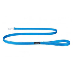 Поводок Amiplay Reflective, синий цвет, XL 150 x 2,5см цена и информация | Поводки для собак | pigu.lt