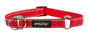 Amiplay pusiau smaugiamas antkaklis Reflective, XL, raudonas цена и информация | Ошейники, подтяжки для собак | pigu.lt