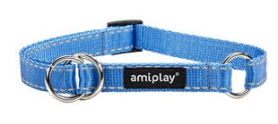 Amiplay pusiau smaugiamas antkaklis Reflective, XL, mėlynas цена и информация | Ошейники, подтяжки для собак | pigu.lt