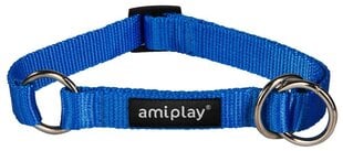 Полу-удушающий ошейник Amiplay Basic, M, синий цена и информация | Ошейники, подтяжки для собак | pigu.lt