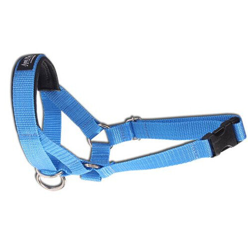 Apynasris Amiplay Halter Basic N6 Deutsche Dogger, mėlynas, XXL 26-50x56-75x2 cm цена и информация | Antkakliai, petnešos šunims | pigu.lt