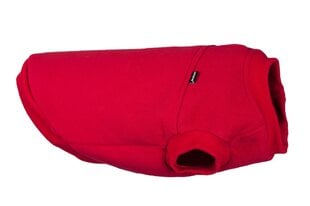 Amiplay megztinis Denver, M, raudonas     kaina ir informacija | Drabužiai šunims | pigu.lt