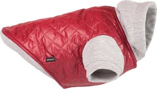 Amiplay куртка Boston, XL, бордовый цена и информация | Одежда для собак | pigu.lt