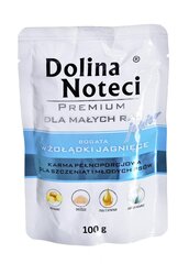 Konservai jauniems šunims Dolina Noteci Premium, su ėriena, 100g kaina ir informacija | Konservai šunims | pigu.lt