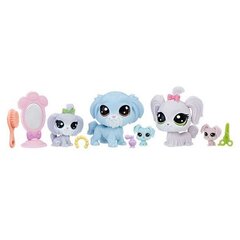 Комплект фигурок животных Littlest Pet Shop цена и информация | Игрушки для девочек | pigu.lt