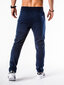 Vyriškos sportinės kelnės Ombre P549 kaina ir informacija | Sportinė apranga vyrams | pigu.lt