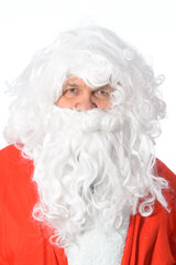 Kalėdų senelio barzda ir perukas kaina ir informacija | Karnavaliniai kostiumai | pigu.lt