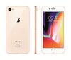 Apple iPhone 8 64GB Gold kaina ir informacija | Mobilieji telefonai | pigu.lt