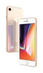 Apple iPhone 8 64ГБ, Золотого цвета цена и информация | Мобильные телефоны | pigu.lt