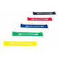 Pasipriešinimo gumų rinkinys Bushido PBM, įvairių spalvų kaina ir informacija | Pasipriešinimo gumos, žiedai | pigu.lt
