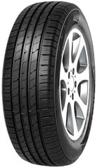 Minerva ECOSPEED2 SUV 235/65R17 108 V XL kaina ir informacija | Vasarinės padangos | pigu.lt