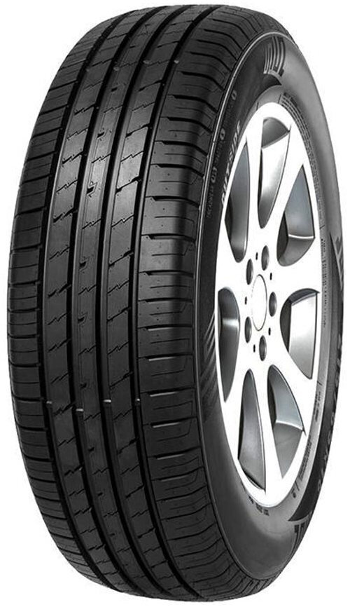 Minerva ECOSPEED2 SUV 255/55R19 111 W XL kaina ir informacija | Vasarinės padangos | pigu.lt