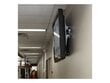 Ergotron TM Tilting Wall Mount (61-142-003) kaina ir informacija | Monitorių laikikliai | pigu.lt