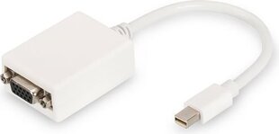 Kabel Digitus DisplayPort Mini - D-Sub (VGA) 0.15m biały (DB-340407-001-W) kaina ir informacija | Kabeliai ir laidai | pigu.lt