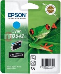 Epson C13T054240 kaina ir informacija | Kasetės rašaliniams spausdintuvams | pigu.lt