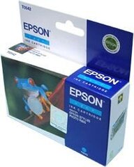 Epson C13T054240 kaina ir informacija | Kasetės rašaliniams spausdintuvams | pigu.lt