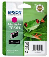 Epson T0543 kaina ir informacija | Kasetės rašaliniams spausdintuvams | pigu.lt