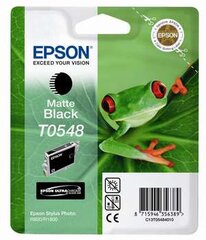 Epson T0548 kaina ir informacija | Kasetės rašaliniams spausdintuvams | pigu.lt