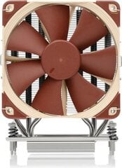 Noctua Premium-Grade 120мм процессорный кулер для AMD TR4/SP3 (NH-U12S TR4-SP3) цена и информация | Кулеры для процессоров | pigu.lt