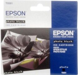 Картридж с оригинальными чернилами Epson T0591 Чёрный цена и информация | Картриджи для струйных принтеров | pigu.lt