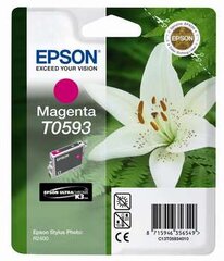 Epson T0593 kaina ir informacija | Kasetės rašaliniams spausdintuvams | pigu.lt