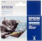 EPSON INK ST PH R2400 LIGHT CYAN kaina ir informacija | Kasetės rašaliniams spausdintuvams | pigu.lt
