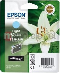Epson UltraChrome K3 Singlepack T0595 Li цена и информация | Картриджи для струйных принтеров | pigu.lt